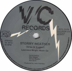 Wasted Youth : Stormy Weather